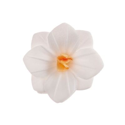 Petunia branca hostia 3.5cm UNIDADE