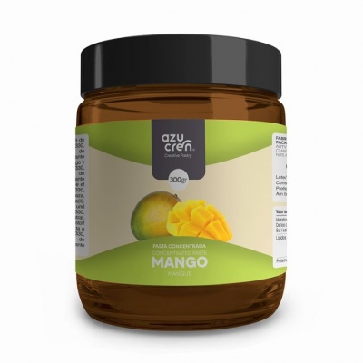 PASTA CONCENTRADA MANGA-300GR-SEM GLÚTEN