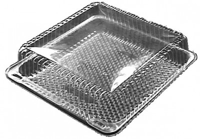 EMBALAGEM PLÁSTICA C\TAMPA 25X25X10 Cm