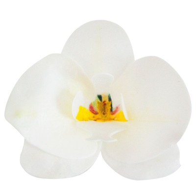 ORQUIDEA  BRANCA 8.5-7.5CM ORQUIDEA  BRANCA 8.5-7.5CM