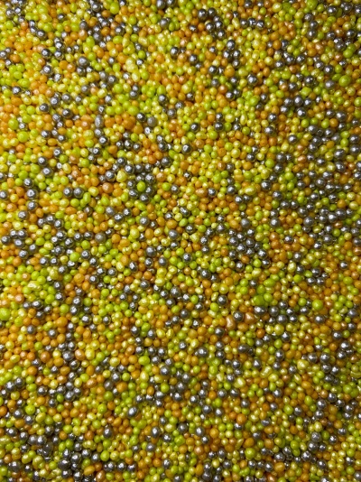 MISSANGA TRICOLOR PASCOA