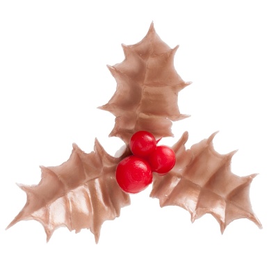 AZEVINHO DOURADO 5CM