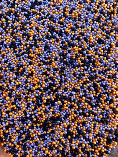 MIX MINI HALLOWEEN 50GR