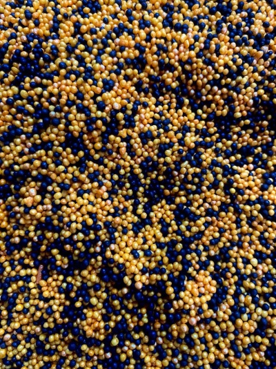 MIX MINI HALLOWEEN 50GR