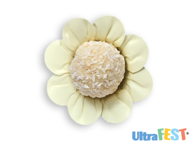 Forma Papel Daisy Vanilla 50unid