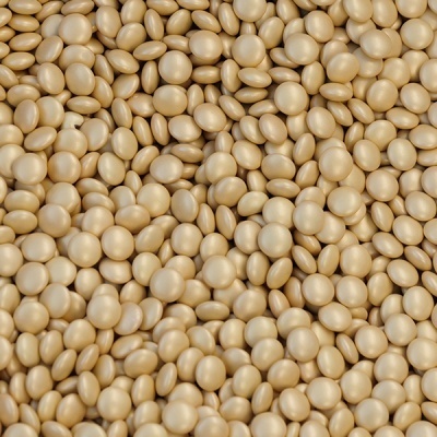 PINTAROLAS OURO 50GR