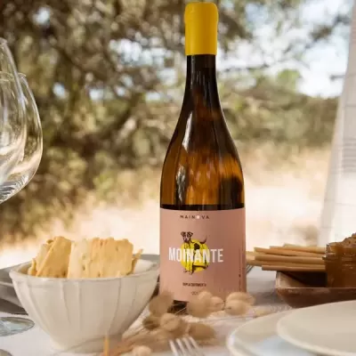 Moinante Dupla Curtimenta 2022 75cl