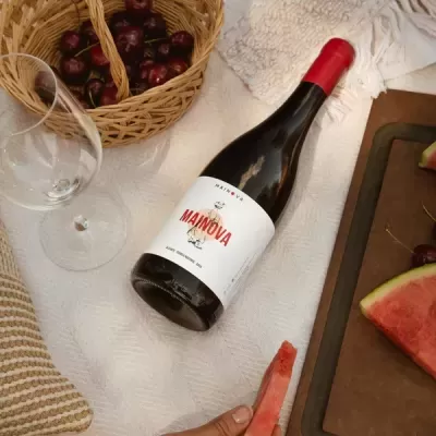 Mainova Tinto 2023 75cl