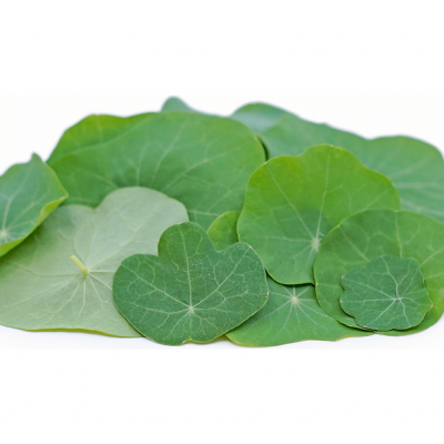 Mini Folha  Nastúrcio 50 Uni