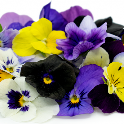 Amores Perfeitos 30 unidades