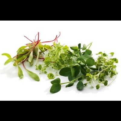 Micro Vegetais