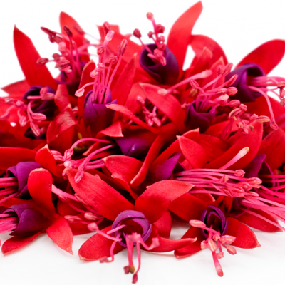 Brincos de Princesa 25 unidades