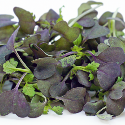 Micro Vegetal Mizuna 30gr