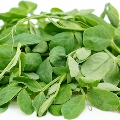 Micro Vegetal Ervilha 30gr