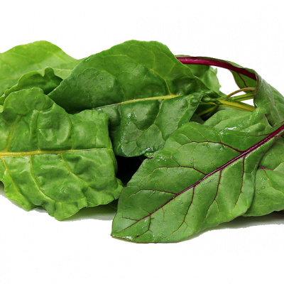 Mini Folha Acelga 30gr