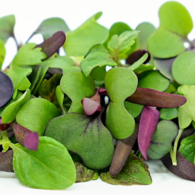 Micro Vegetal Mix 30gr