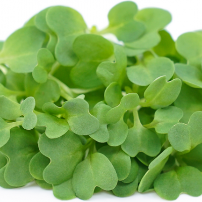 Micro Vegetal Mostarda 30gr