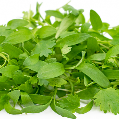 Micro Vegetal Coentros 30gr