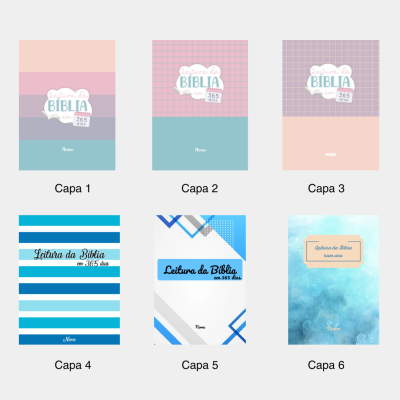 Leitura da Bíblia em 365 dias