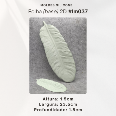 Folha (base) 2D