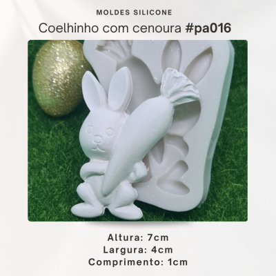 Coelhinho com cenoura