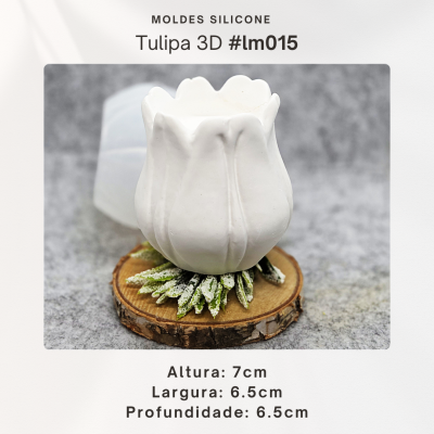 Tulipa 3D