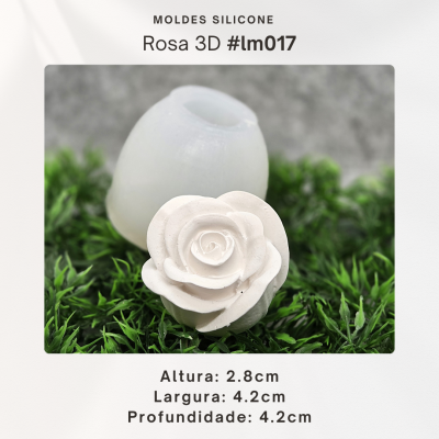 Rosa 3D