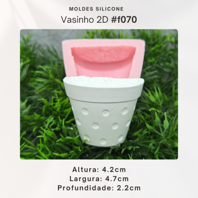 Vasinho 2D