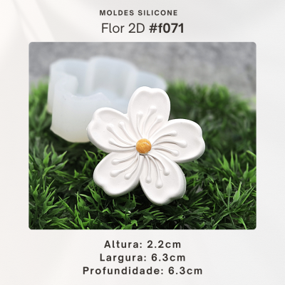 Flores 2D