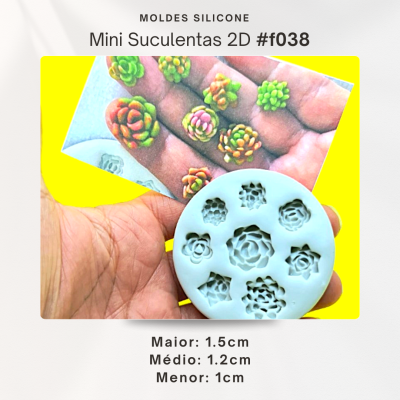 Mini suculentas 2D
