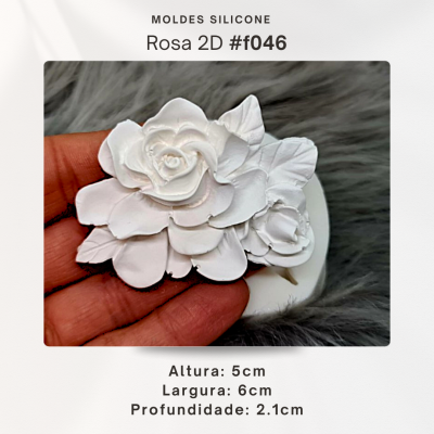Rosa 2D