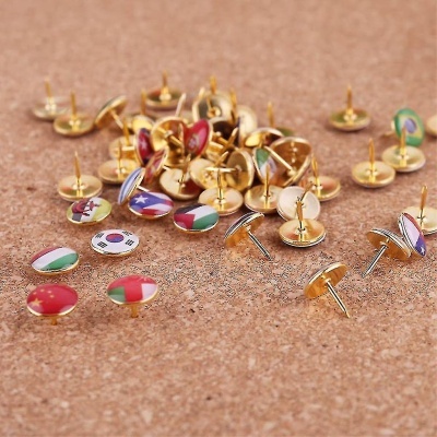 100 Pins Flags