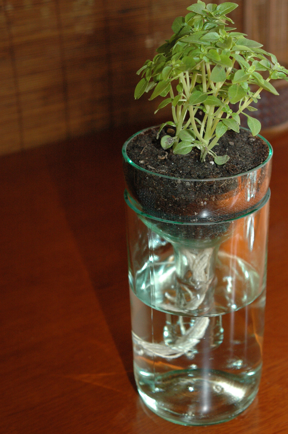 Self Watering Planter