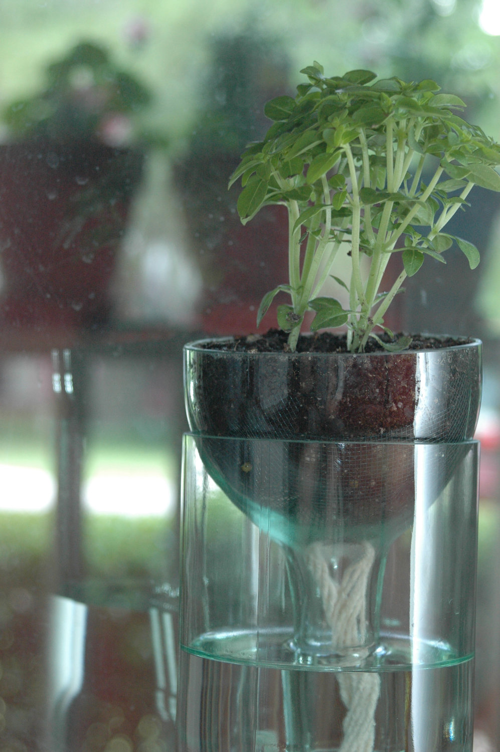 Self Watering Planter