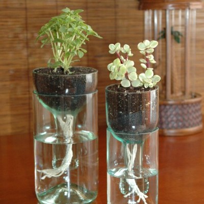 Self Watering Planter