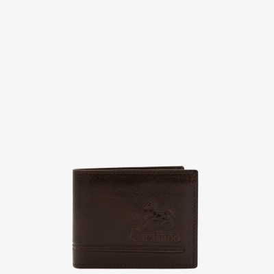 Carteira 529 - Cavalinho