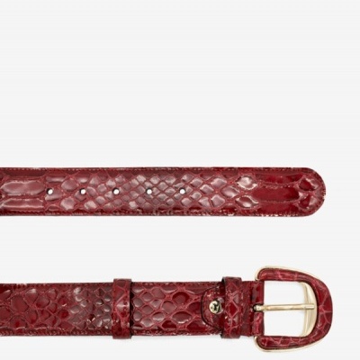 Cinto Clássico Galope Cavalinho