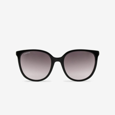 Óculos de Sol Cosmopolis