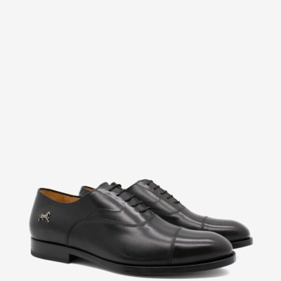 Sapato Clássico Cavalo Lusitano