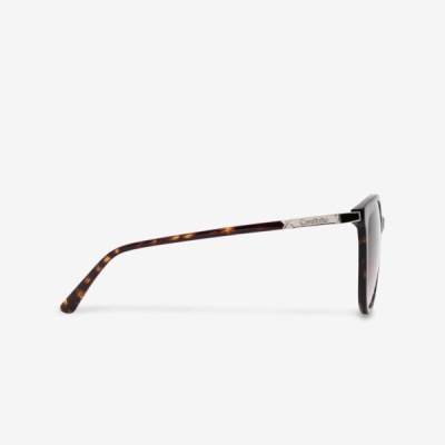 Óculos de Sol Cosmopolis