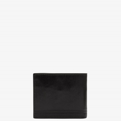 Carteira 554 - Cavalinho