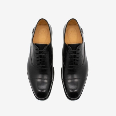 Sapato Clássico Cavalo Lusitano