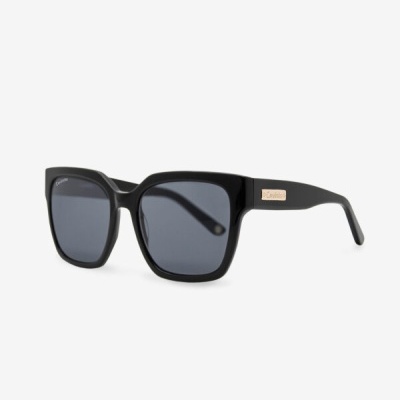 Óculos de Sol Timeless