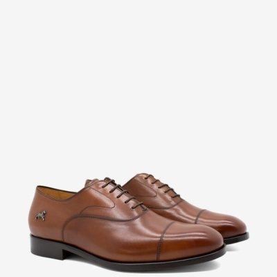 Sapato Clássico Cavalo Lusitano