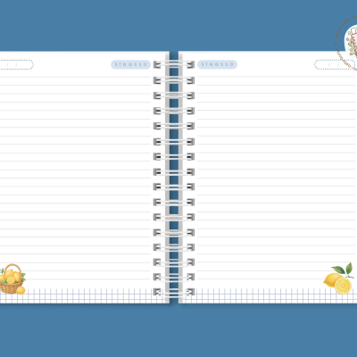 Caderno Novo Começo