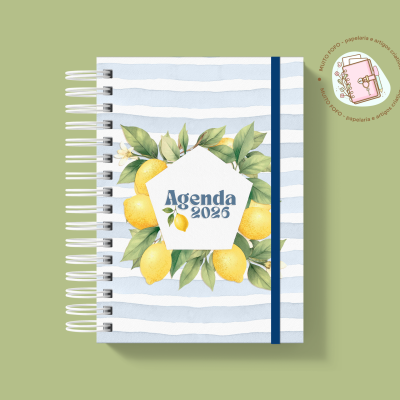 Agenda Summer Flow