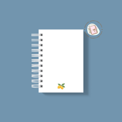 Caderno Novo Começo