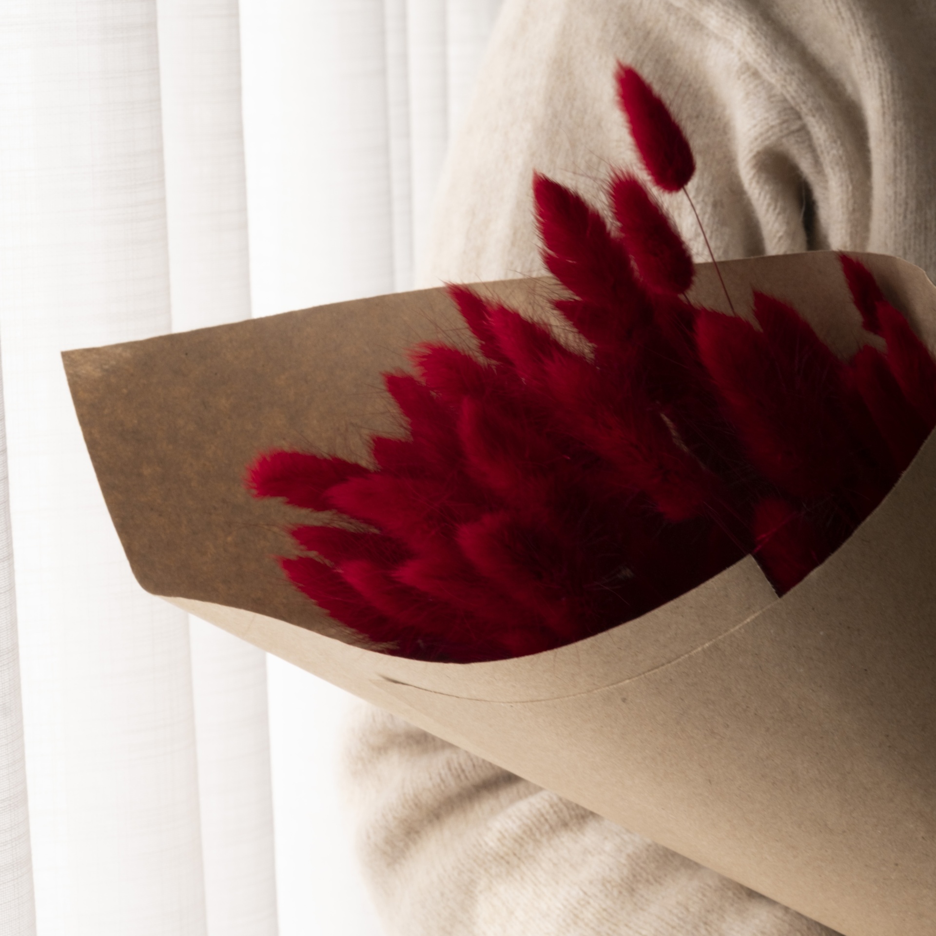 Lagurus vermelho Lagurus vermelho