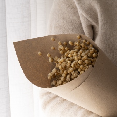 Jazilda natural Jazilda natural