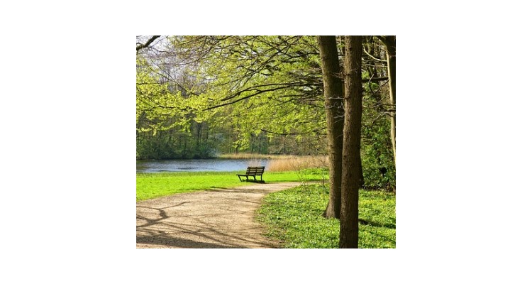 9 Parques e Jardins para Desfrutar 9 Parques e Jardins para Desfrutar